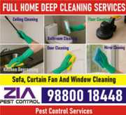 Zia Pest Control and  Deep Cleaning service | Professional Deep clean